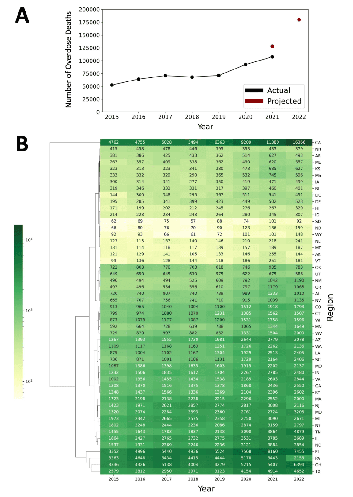 Annual drug overdose deaths across the United States from 2015 to 2022.